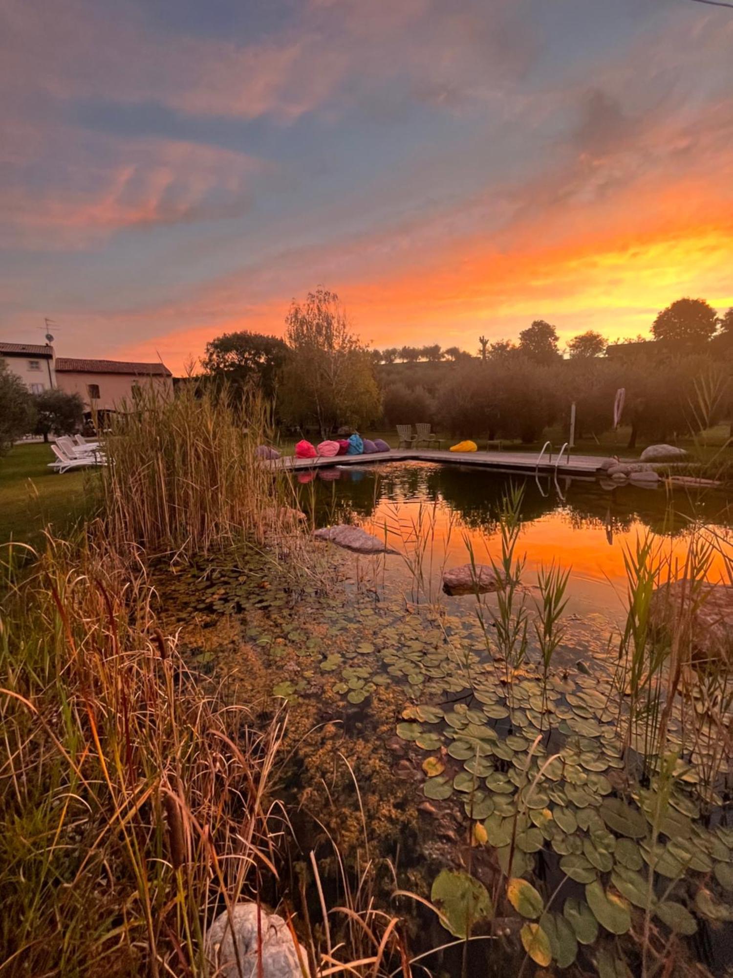 Agriturismo Casa Aurora 布索伦戈 外观 照片