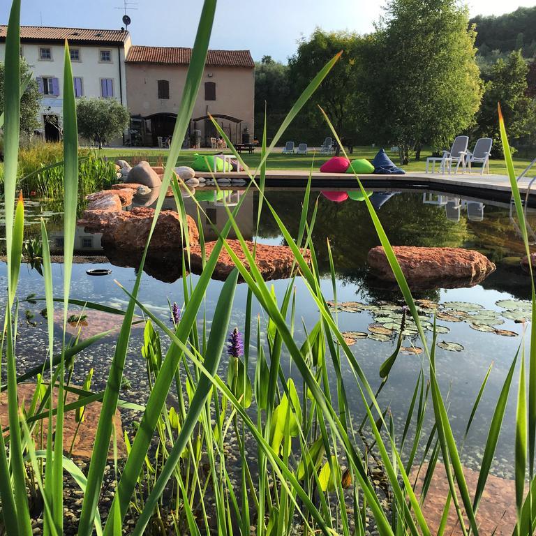 Agriturismo Casa Aurora 布索伦戈 外观 照片