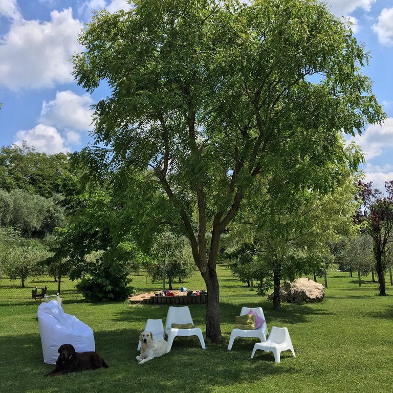 Agriturismo Casa Aurora 布索伦戈 外观 照片
