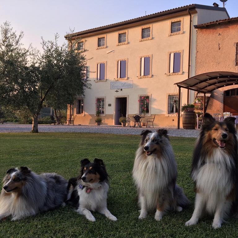 Agriturismo Casa Aurora 布索伦戈 外观 照片