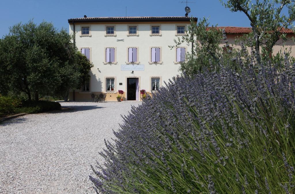 Agriturismo Casa Aurora 布索伦戈 外观 照片