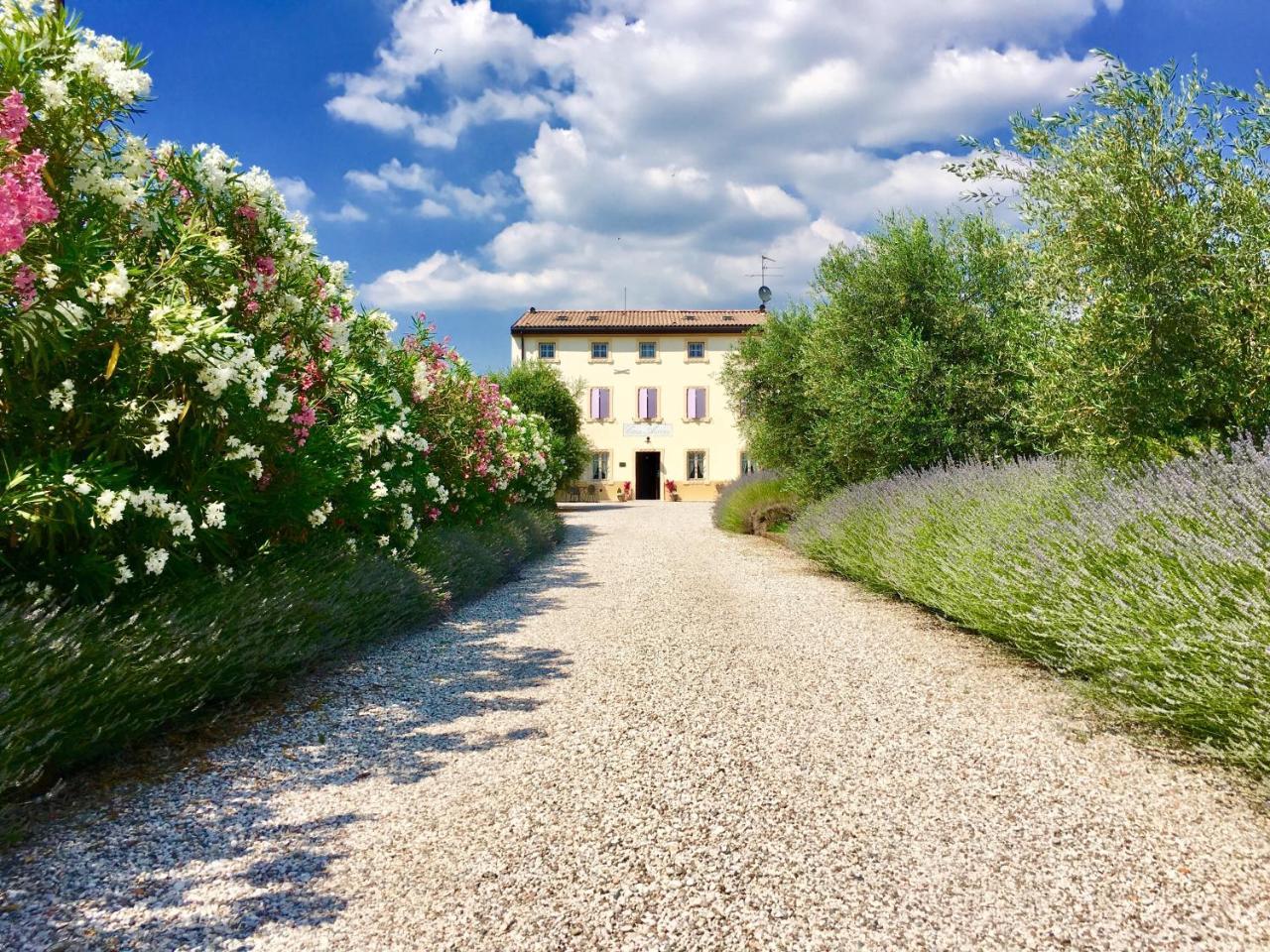 Agriturismo Casa Aurora 布索伦戈 外观 照片